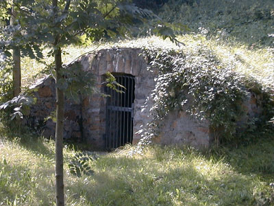 Ruine Karlsbach