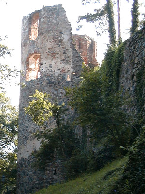 Ruine Karlsbach