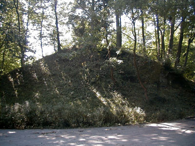 Ruine Karlsbach