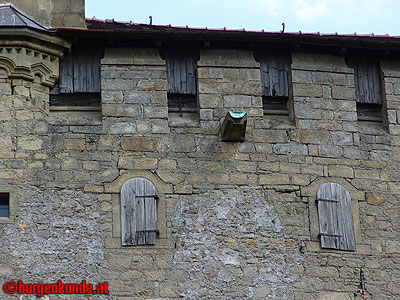 Burg Kreuzenstein / Niederösterreich