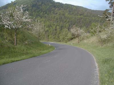 Burgruine Mollenburg