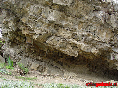 Burgruine Kuenring / Niederösterreich