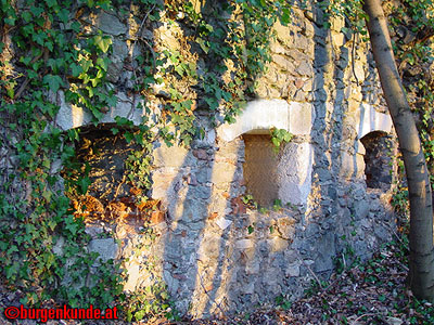 Ruine Scharfeneck bei Mannersdorf am Leithagebirge