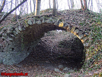 Ruine Scharfeneck bei Mannersdorf am Leithagebirge