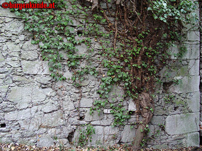 Ruine Scharfeneck bei Mannersdorf am Leithagebirge