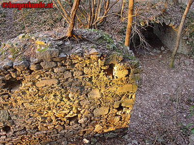 Ruine Scharfeneck bei Mannersdorf am Leithagebirge