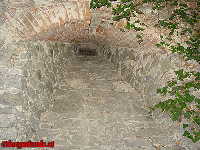 Ruine Scharfeneck bei Mannersdorf am Leithagebirge