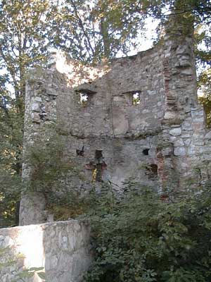 Burg Plankenstein