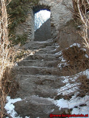 Ruine Rauheneck