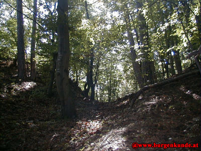 Ruine Scharfeneck