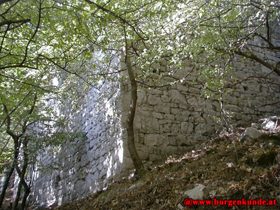 Ruine Scharfeneck