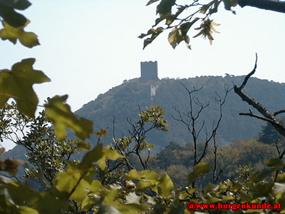 Ruine Scharfeneck