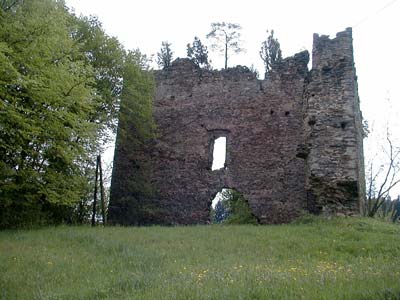 Ruine Schwarzau