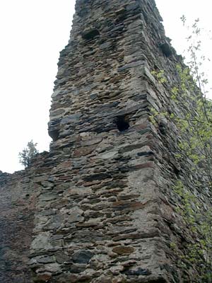 Ruine Schwarzau