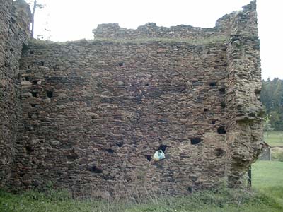 Ruine Schwarzau