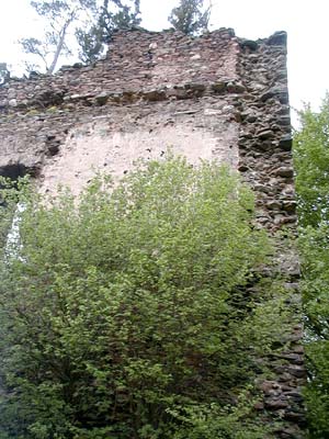 Ruine Schwarzau