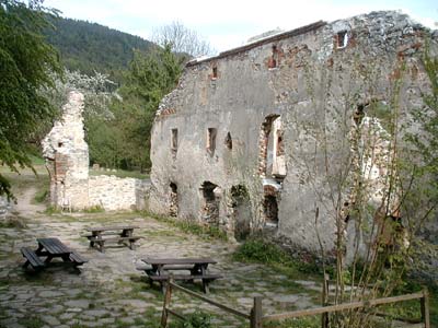 Ruine Streitwiesen