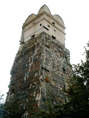 Ruine Streitwiesen