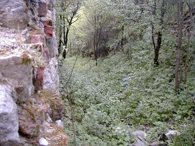 Ruine Streitwiesen