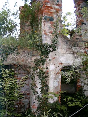 Ruine Weitenegg