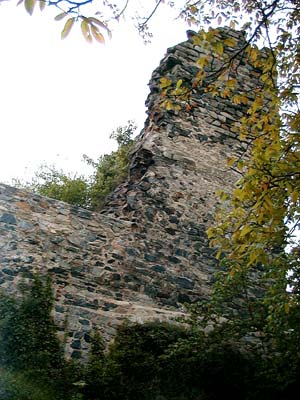 Ruine Weitenegg