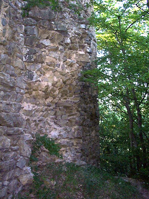 Ruine Zelking