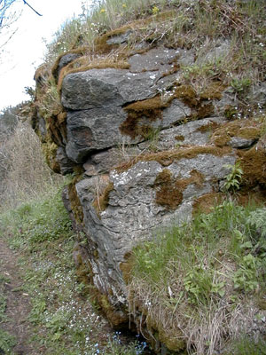 Ruine Blankenberg