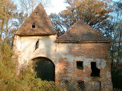 Ruine Dachsberg