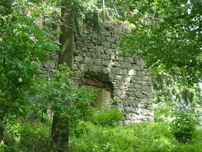 Ruine Klingenberg