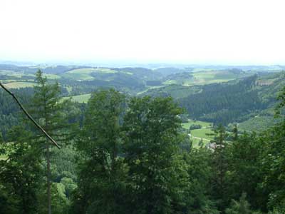 Ruine Klingenberg