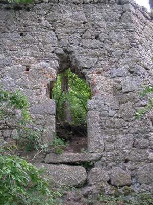 Ruine Klingenberg