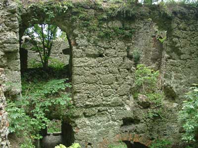 Ruine Klingenberg