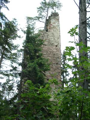 Ruine Klingenberg