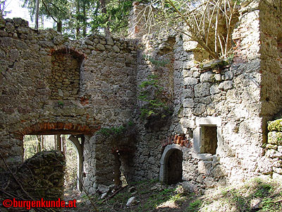 Burgruine Klingenberg / Niederösterreich