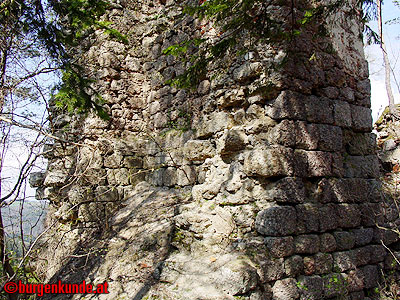 Burgruine Klingenberg / Niederösterreich