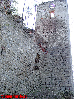 Burgruine Klingenberg / Niederösterreich