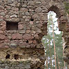 Ruine Kronast / Oberösterreich