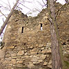 Ruine Kronast / Oberösterreich