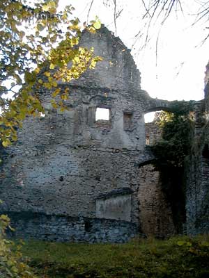 Ruine Dachsberg