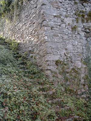 Ruine Dachsberg