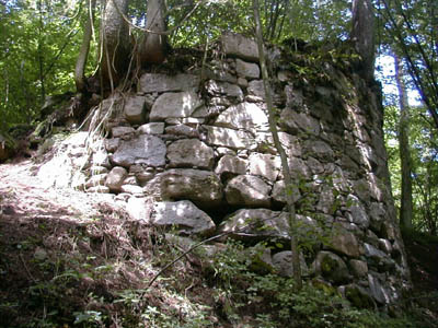 Ruine Mitterberg