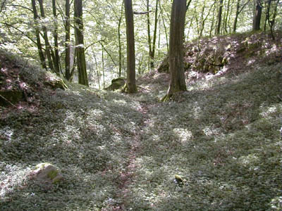 Ruine Mitterberg