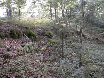 Ruine Möstling