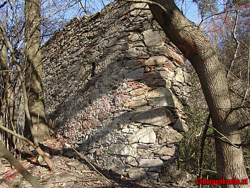 Burg Luftenberg / Oberösterreich