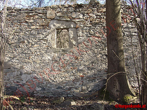 Schloss und Burg Luftenberg / Oberösterreich