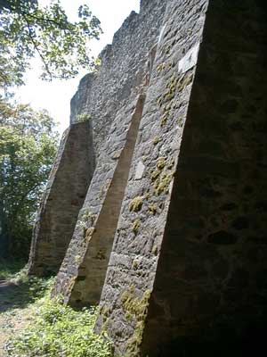 Burgruine Reichenau