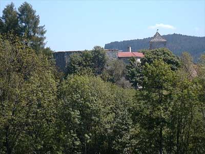 Burgruine Reichenau