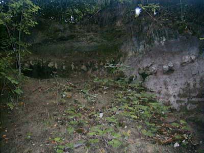 Ruine Dachsberg