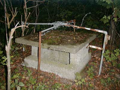 Ruine Dachsberg