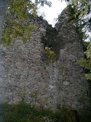 Ruine Scharnstein